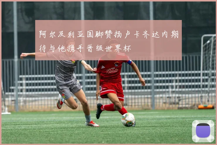 阿尔及利亚国脚赞扬卢卡齐达内期待与他携手晋级世界杯